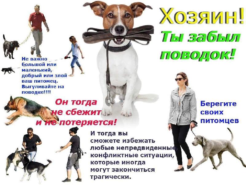 загруженное (1).jpg